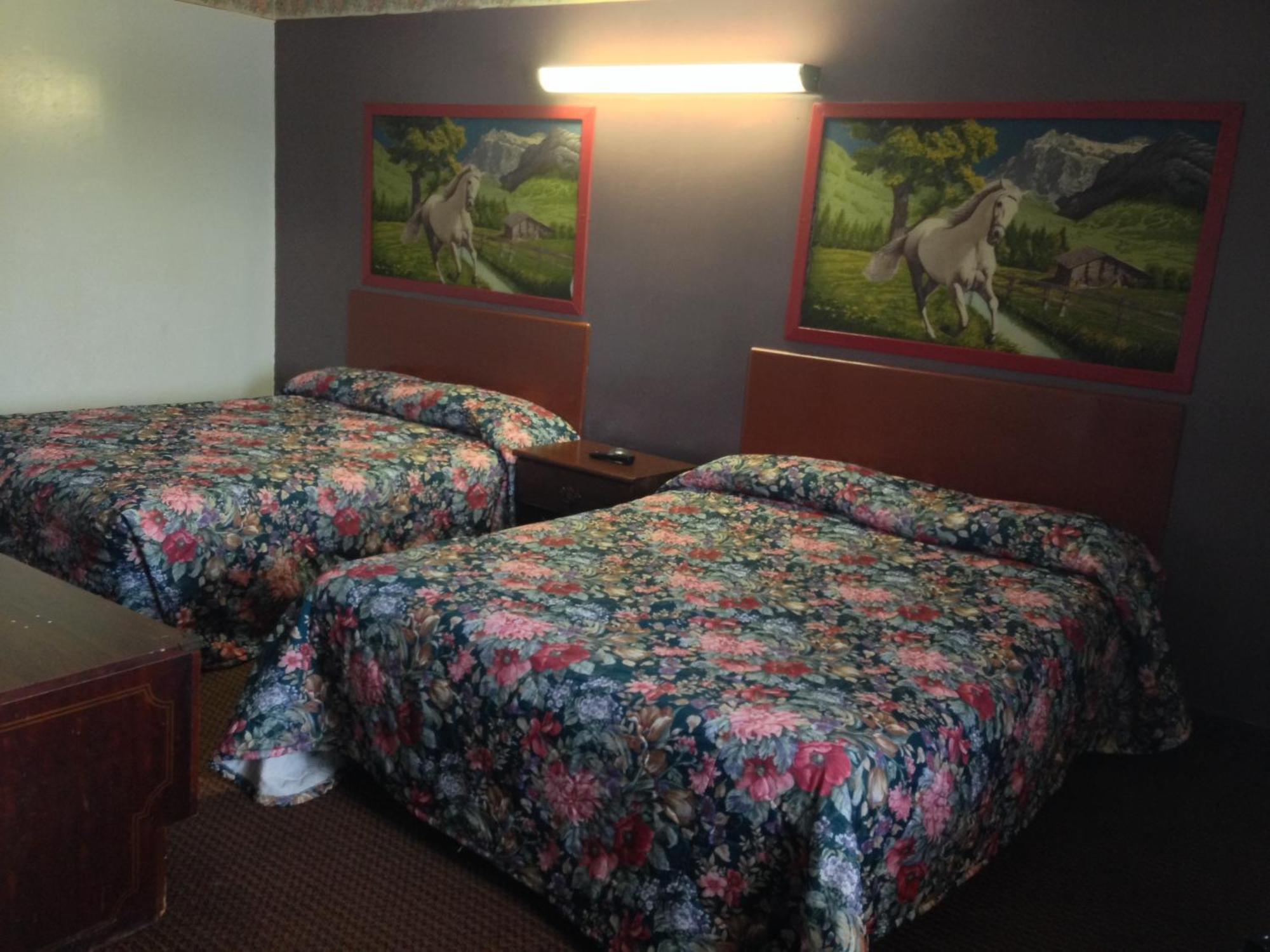 Choice Inn San Antonio Habitación foto